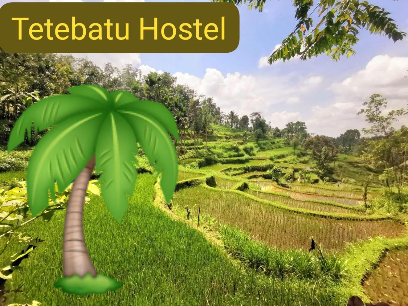 Tetebatu Hostel Kültér fotó
